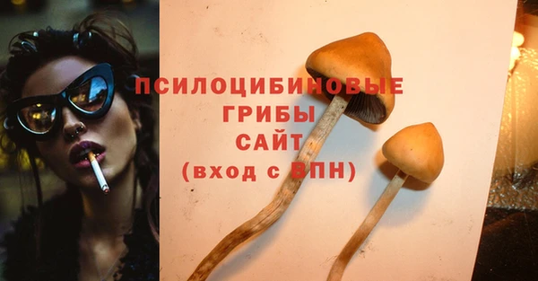 PSILOCYBIN Абаза